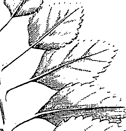 110/110220030502840_1.png