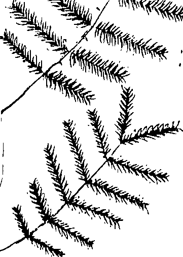 110/110220030502850_0.png