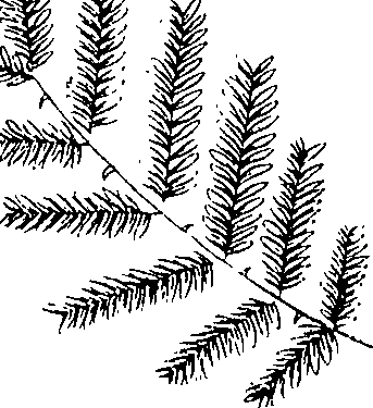 110/110220030502850_1.png