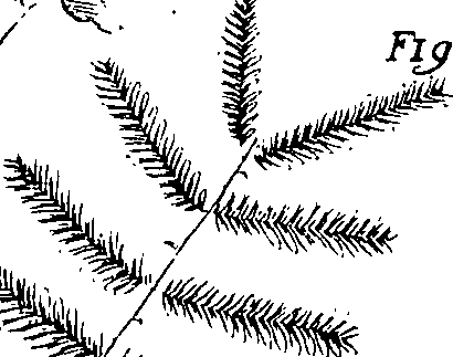 110/110220030502850_2.png
