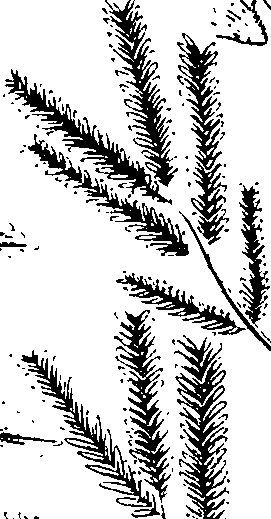 110/110220030502850_3.png