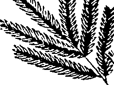 110/110220030502850_4.png