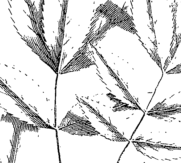 110/110220030502870_0.png
