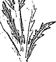110/110220030502880_1.png