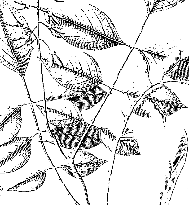 110/110220030502880_2.png