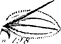 110/110220030502900_0.png