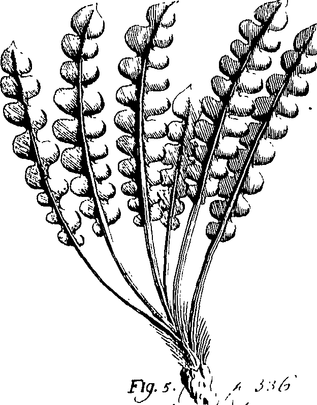 110/110220030502910_0.png