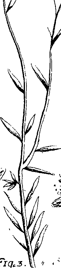 110/110220030502910_1.png