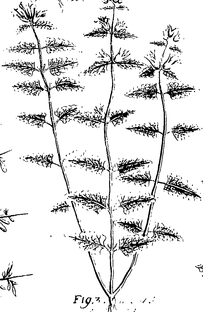 110/110220030502930_0.png