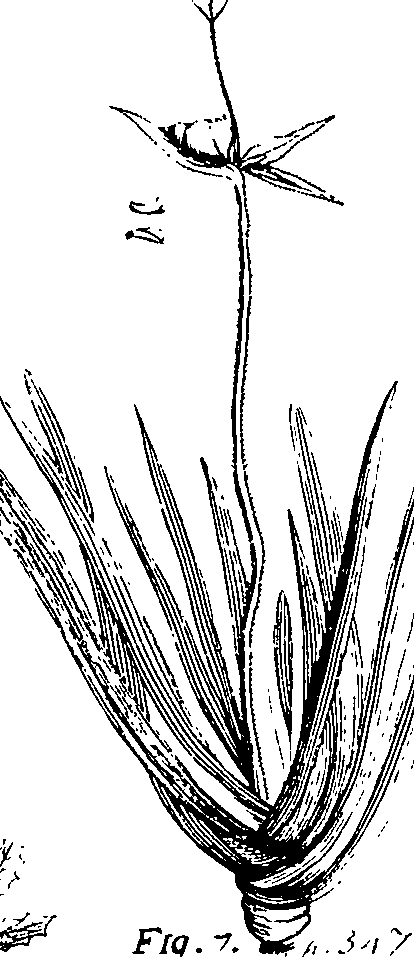110/110220030502930_1.png