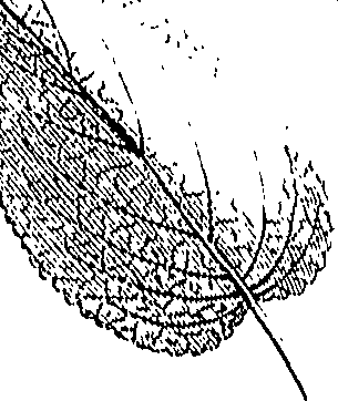 110/110220030502950_0.png