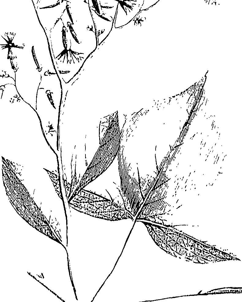110/110220030502950_1.png
