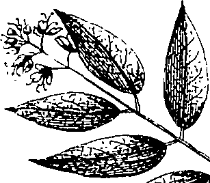 110/110220030502950_2.png