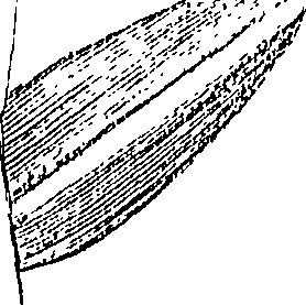 110/110220030502980_0.png