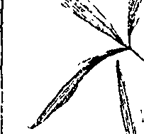 110/110220030502980_1.png
