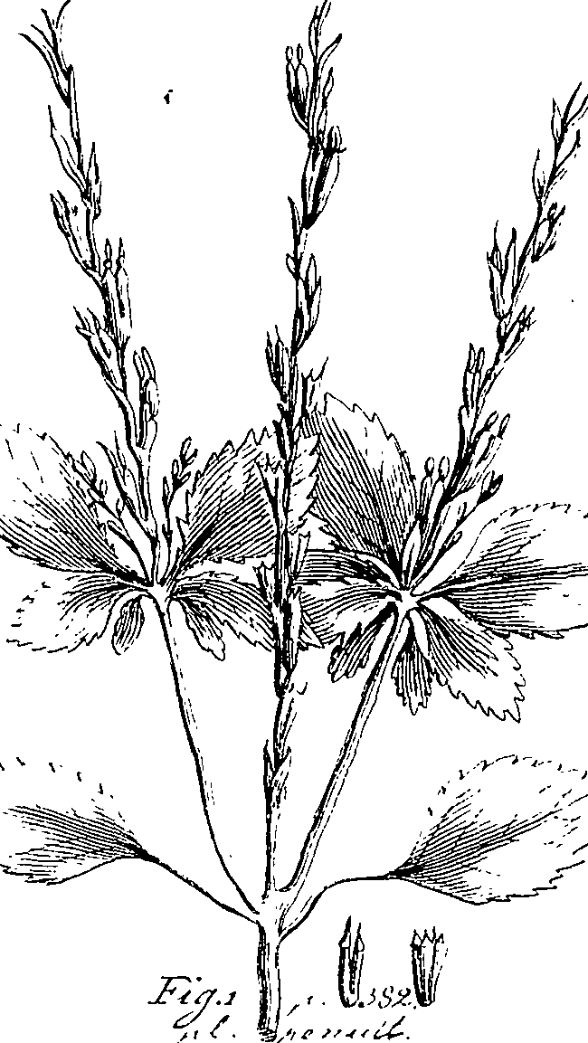 110/110220030502990_1.png