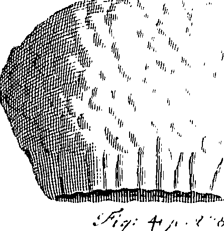 110/110220030503010_0.png