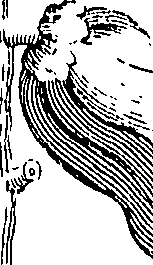 110/110220030503010_1.png