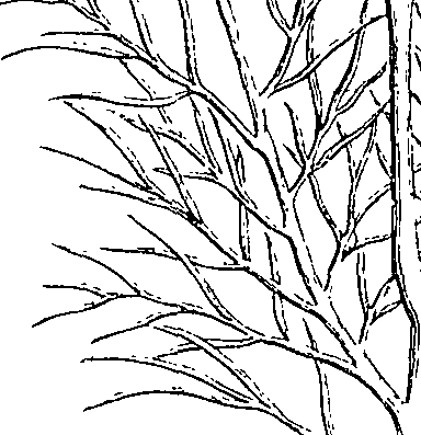110/110220030503010_3.png