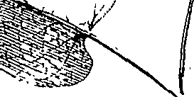 110/110220030503020_1.png