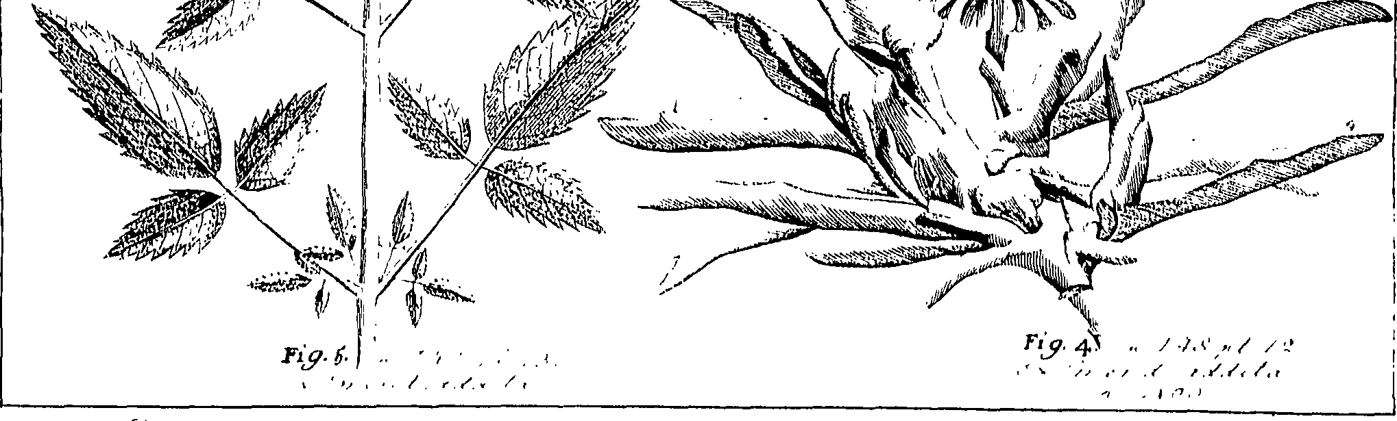 110/110220030503030_0.png
