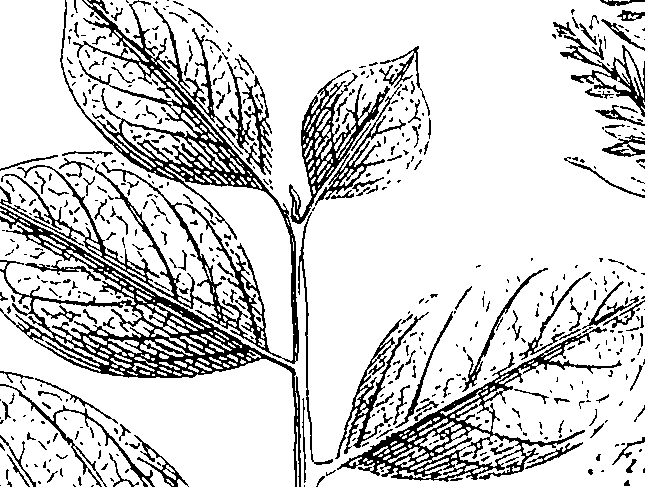 110/110220030503040_0.png