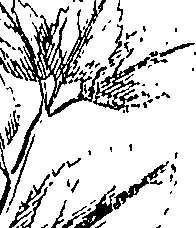 110/110220030503050_0.png