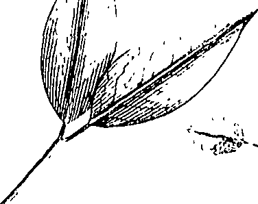 110/110220030503050_1.png