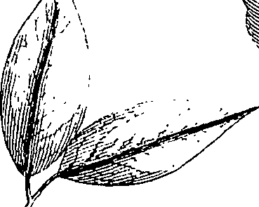 110/110220030503050_2.png