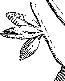 110/110220030503050_3.png