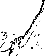 110/110220030503060_0.png