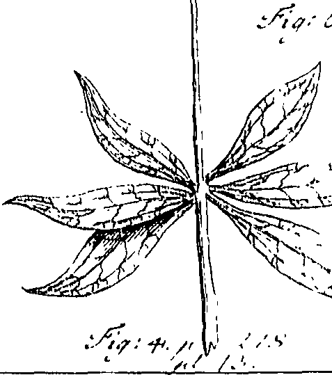 110/110220030503060_1.png