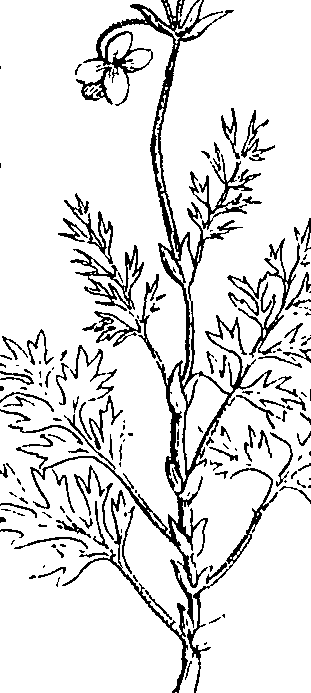 110/110220030503060_2.png