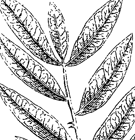 110/110220030503060_3.png