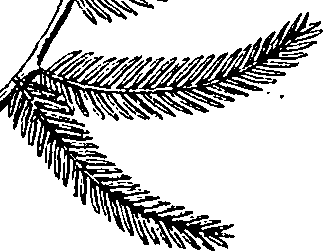110/110220030503070_1.png