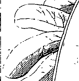 110/110220030503090_0.png