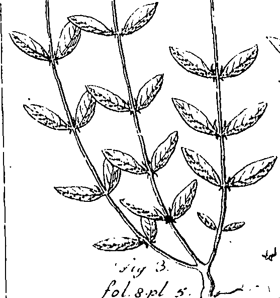 110/110220030503100_0.png