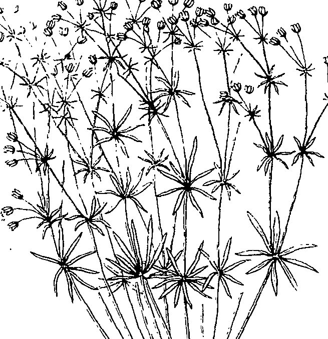 110/110220030503100_2.png