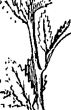 110/110220030503120_2.png