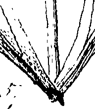 110/110220030503180_0.png