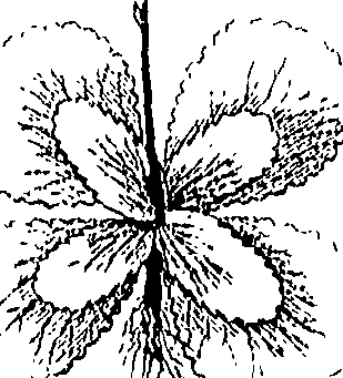 110/110220030503180_2.png