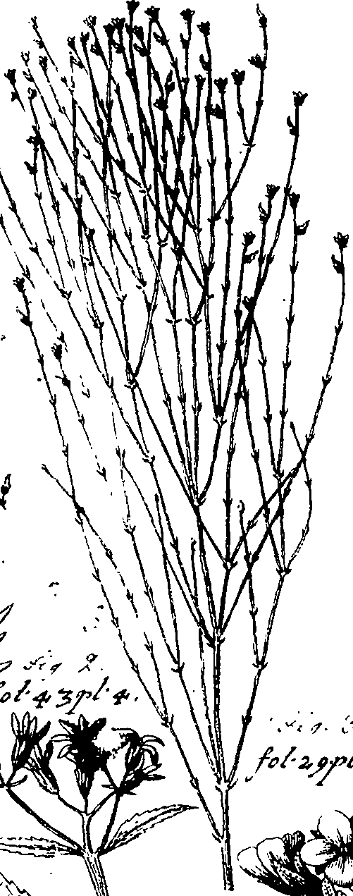 110/110220030503200_0.png