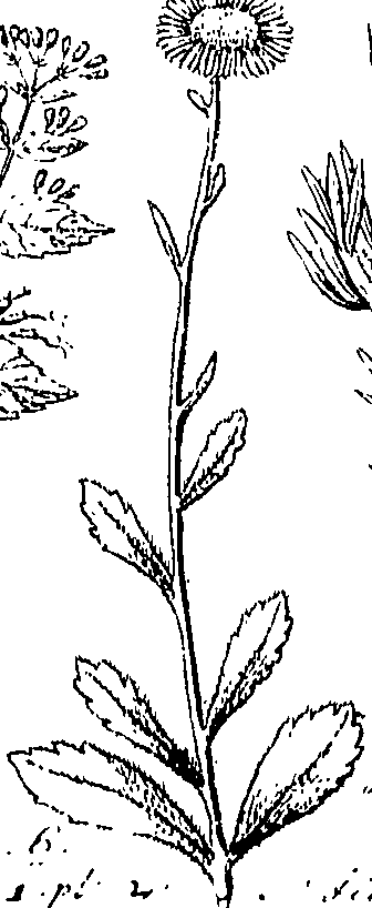 110/110220030503220_0.png