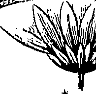 110/110220030503230_0.png