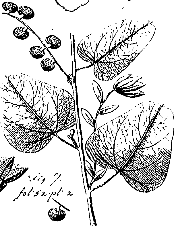 110/110220030503230_1.png