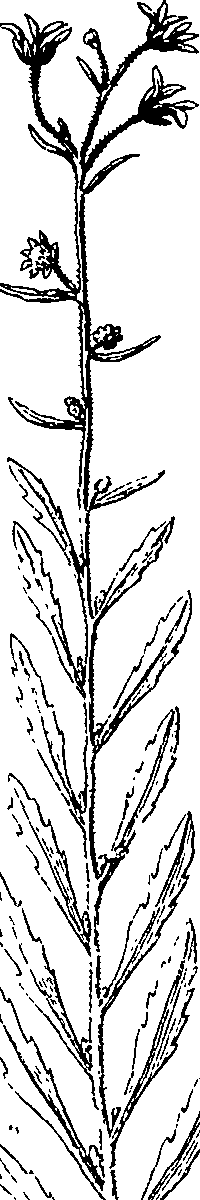 110/110220030503230_2.png