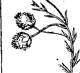 110/110220030503250_2.png