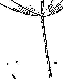 110/110220030503270_1.png