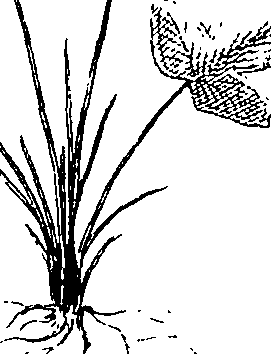 110/110220030503270_2.png