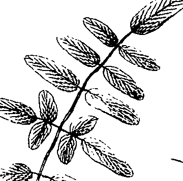 110/110220030503270_3.png